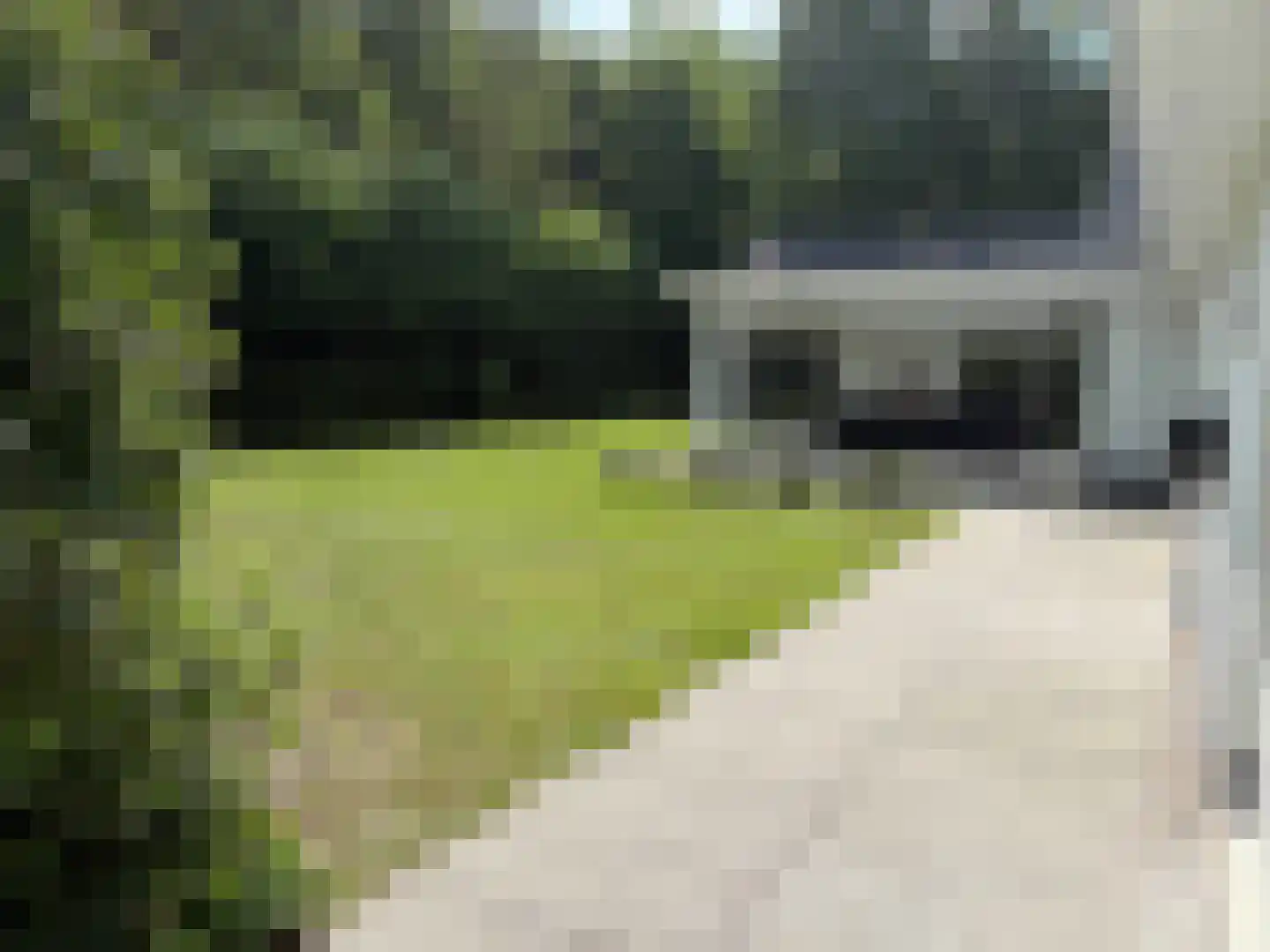 Landkaartje 12 Rijen thumbnail 46