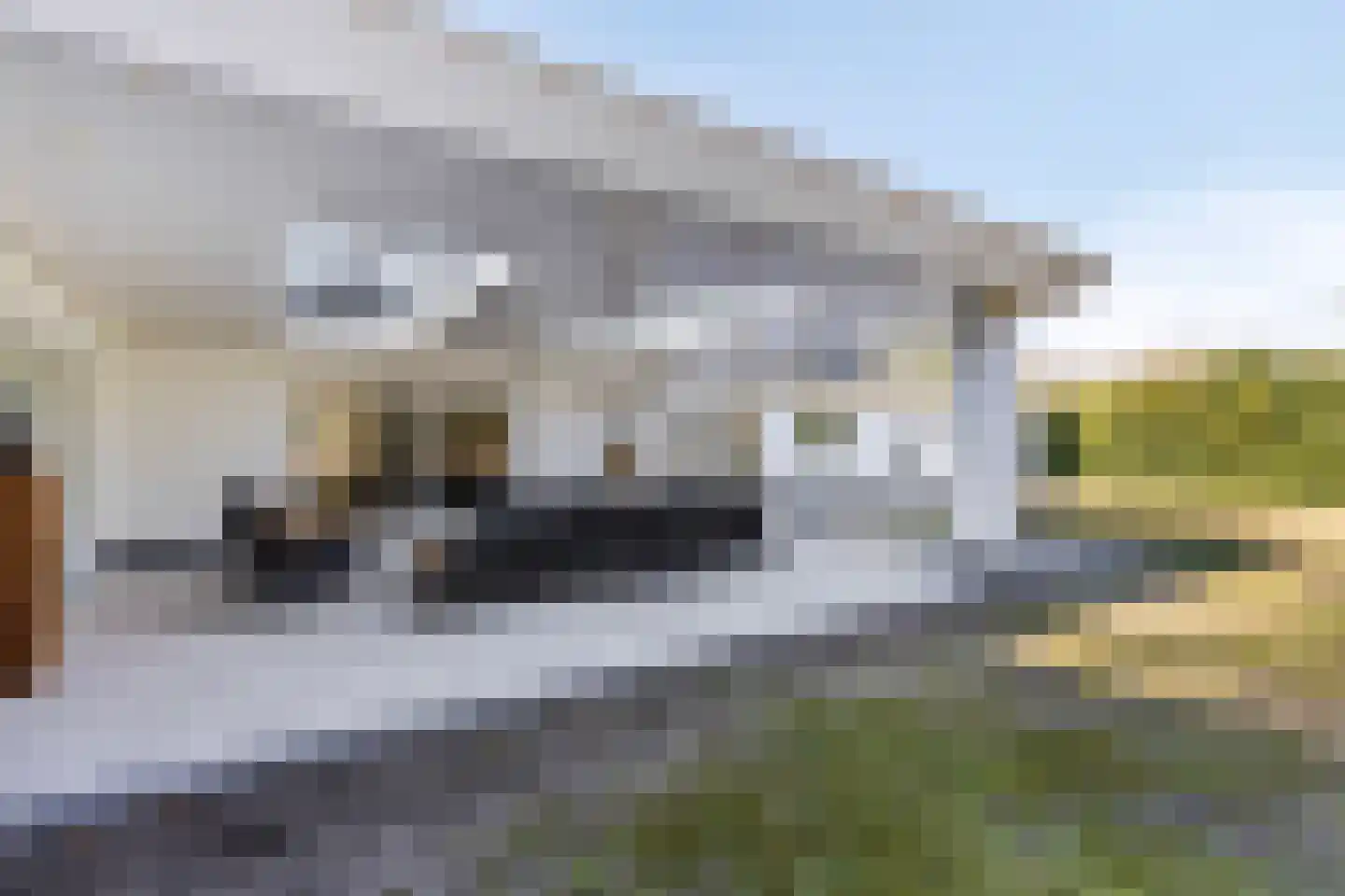 Landkaartje 12 Rijen thumbnail 47