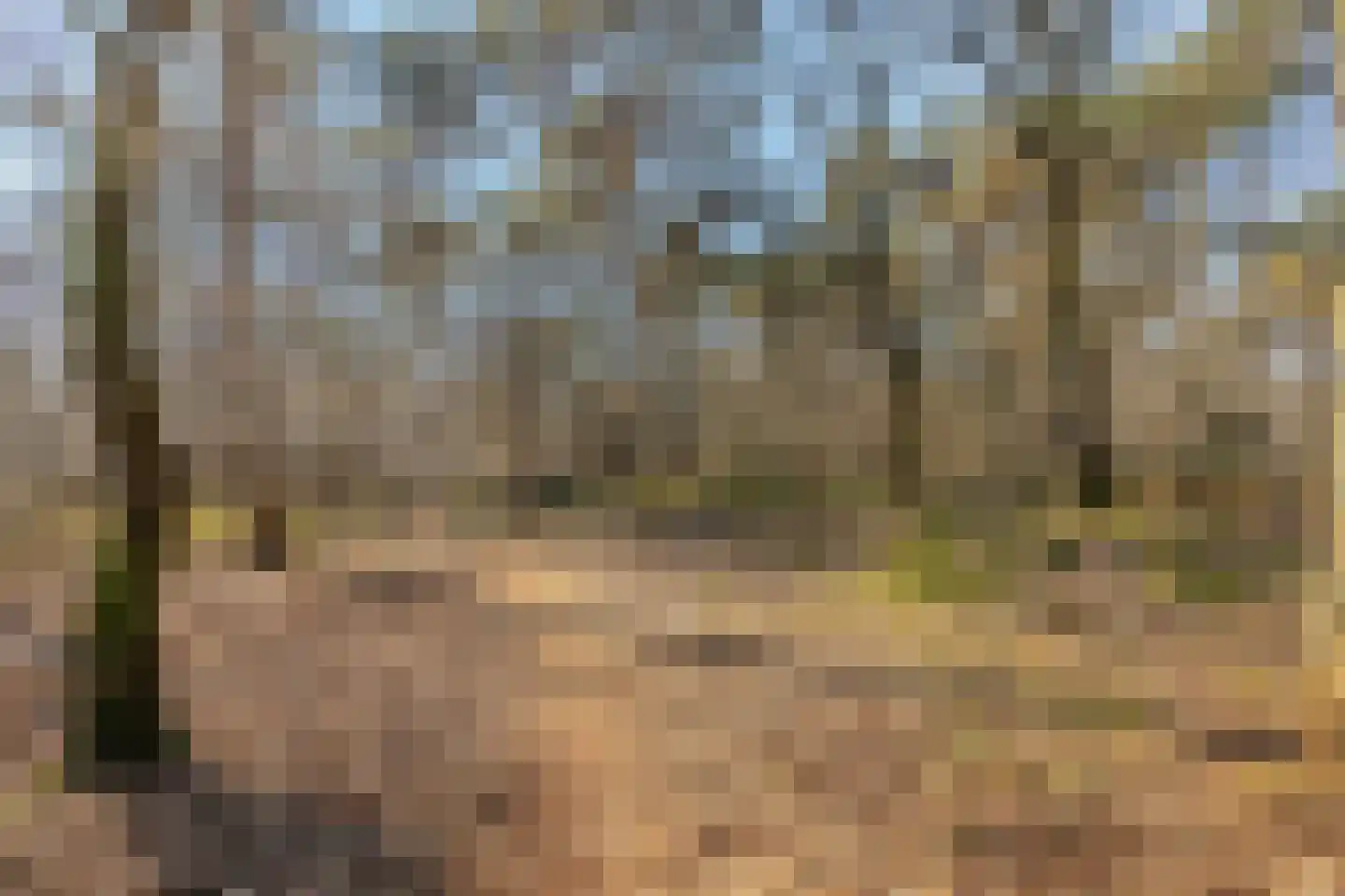 Landkaartje 12 Rijen thumbnail 53