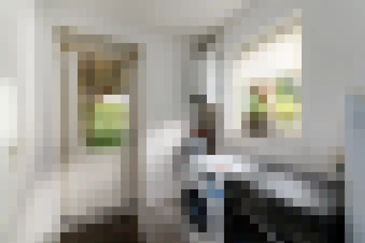 Landkaartje 17 Wolvega thumbnail 15