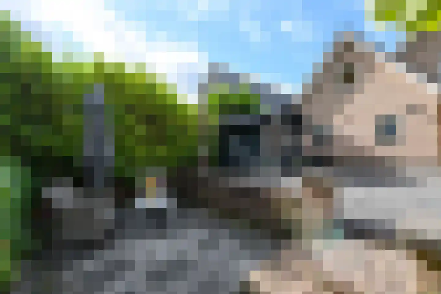 Landkaartje 17 Wolvega thumbnail 33
