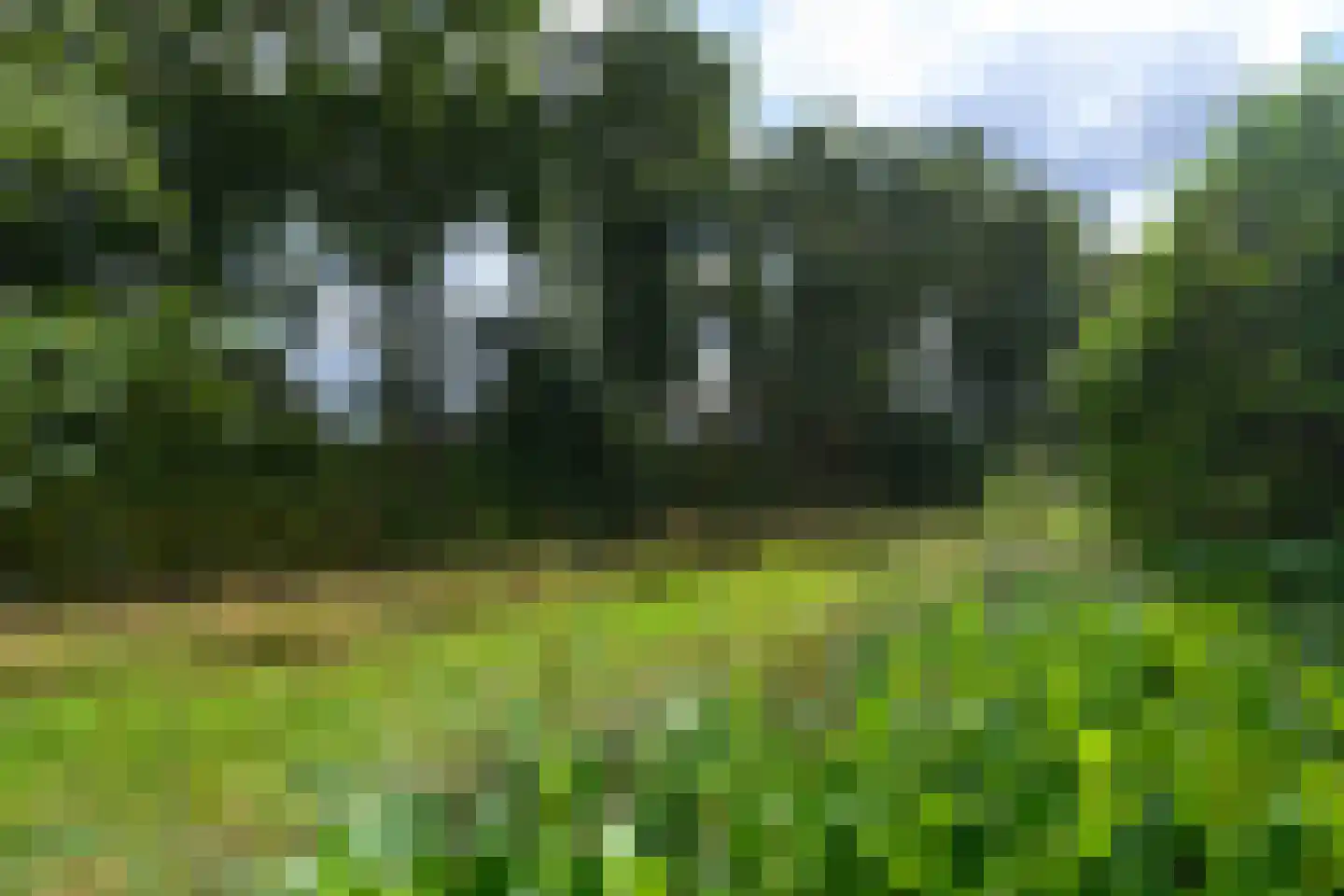 Landkaartje 17 Wolvega thumbnail 35