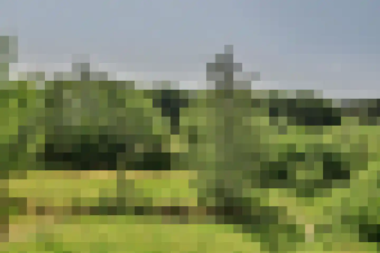 Landkaartje 183 Oosterhout thumbnail 39