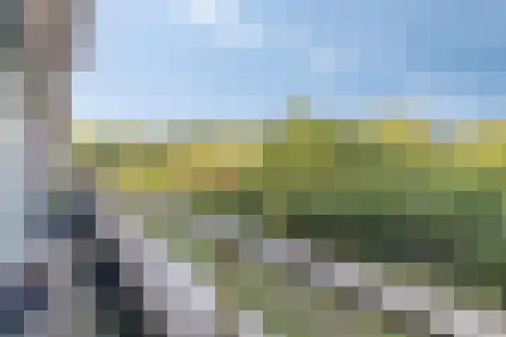 Landkaartje 209 Oosterhout thumbnail 16