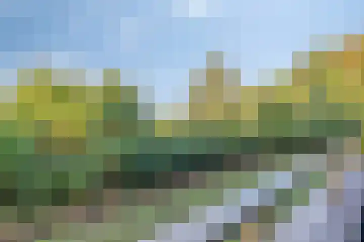 Landkaartje 209 Oosterhout thumbnail 17