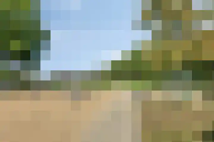 Landkaartje 209 Oosterhout thumbnail 35