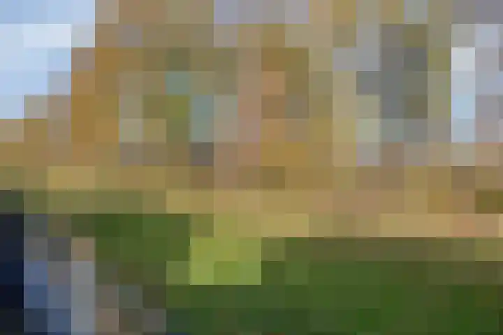 Landkaartje 23 Wolvega thumbnail 28