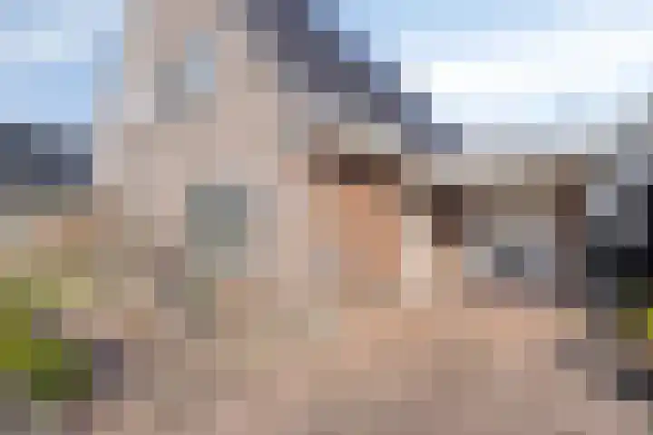 Landkaartje 23 Wolvega thumbnail 31
