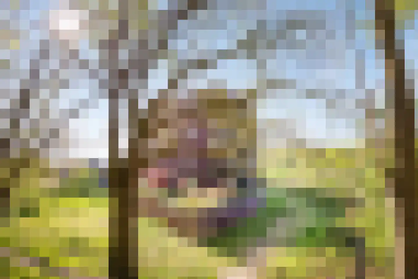 Landkaartje 235 Oosterhout thumbnail 36