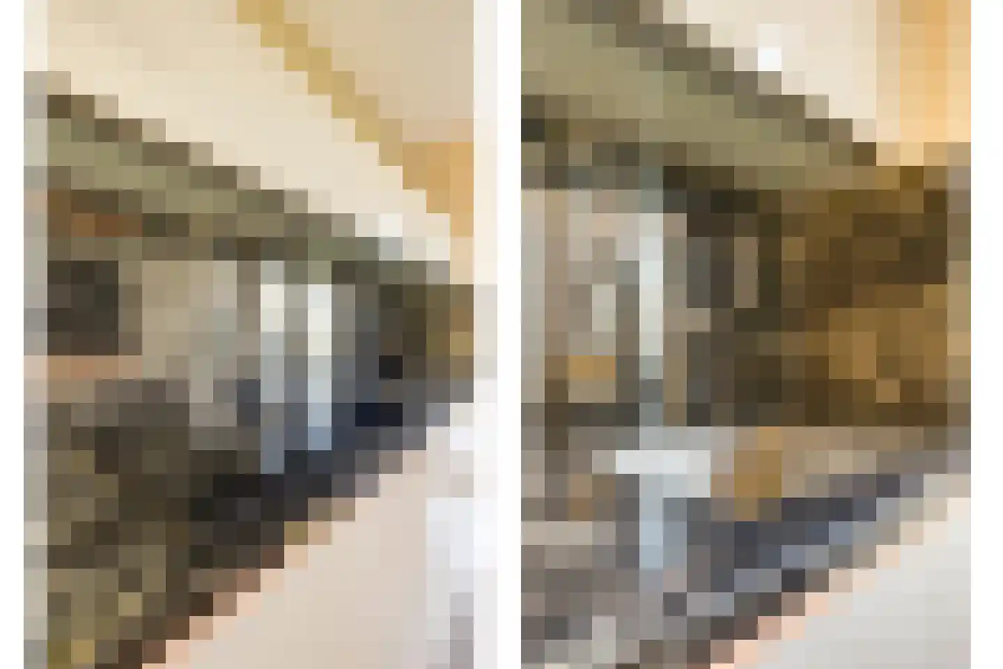 Landkaartjehof 3 Hoogvliet Rotterdam thumbnail 9