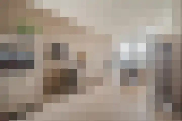 Landlaan 19 Onstwedde thumbnail 13