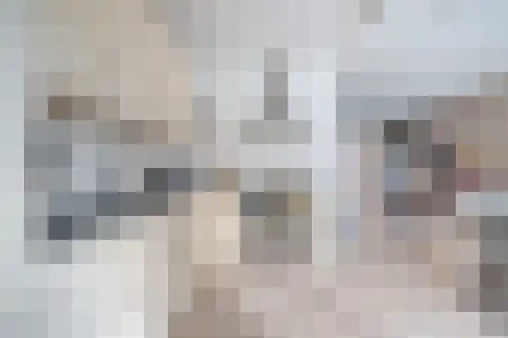 Landlaan 19 Onstwedde thumbnail 17