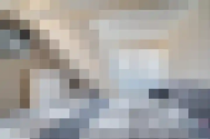 Landlaan 19 Onstwedde thumbnail 26