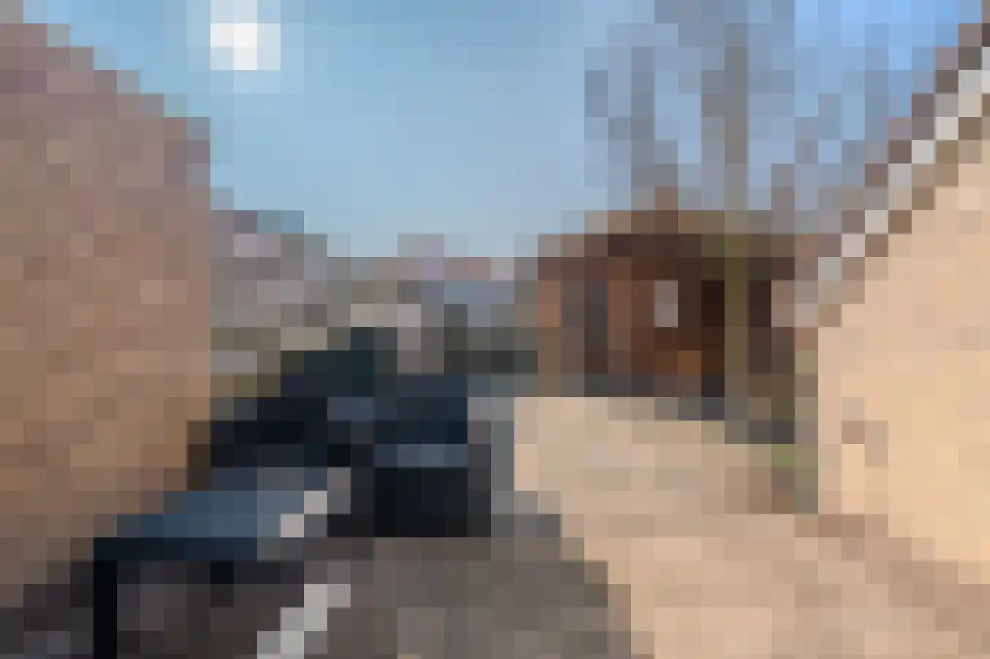 Landlaan 19 Onstwedde thumbnail 6