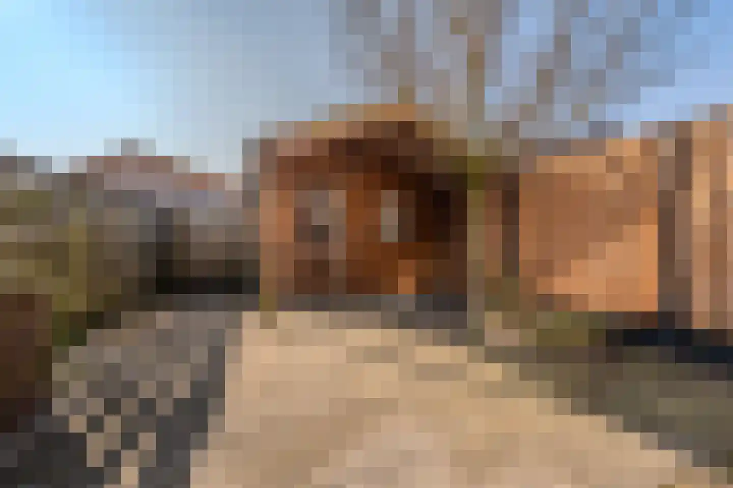 Landlaan 19 Onstwedde thumbnail 7