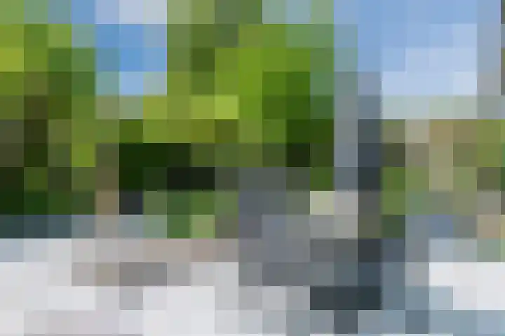 Landleeuw 13 Hoofddorp thumbnail 25
