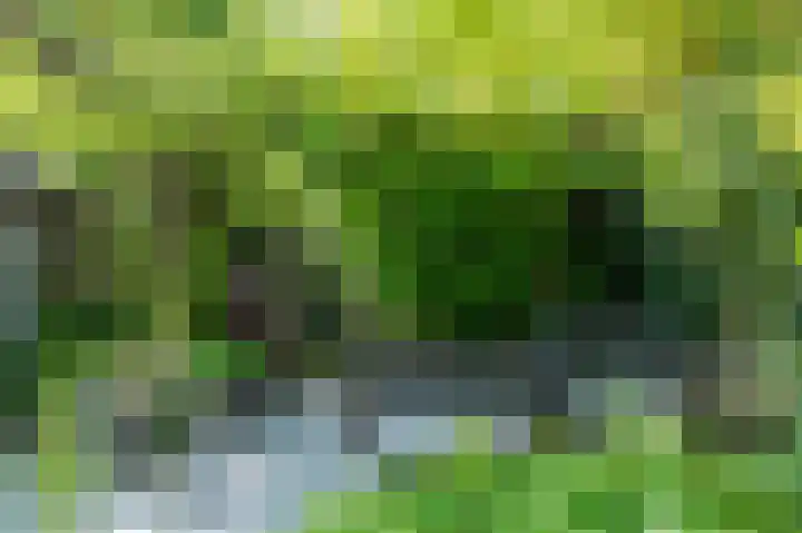 Landleeuw 13 Hoofddorp thumbnail 27
