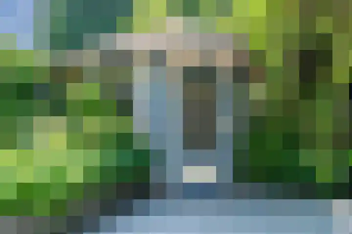Landleeuw 13 Hoofddorp thumbnail 28