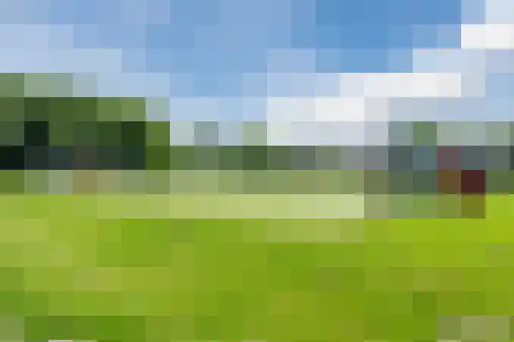 Landleeuw 13 Hoofddorp thumbnail 31