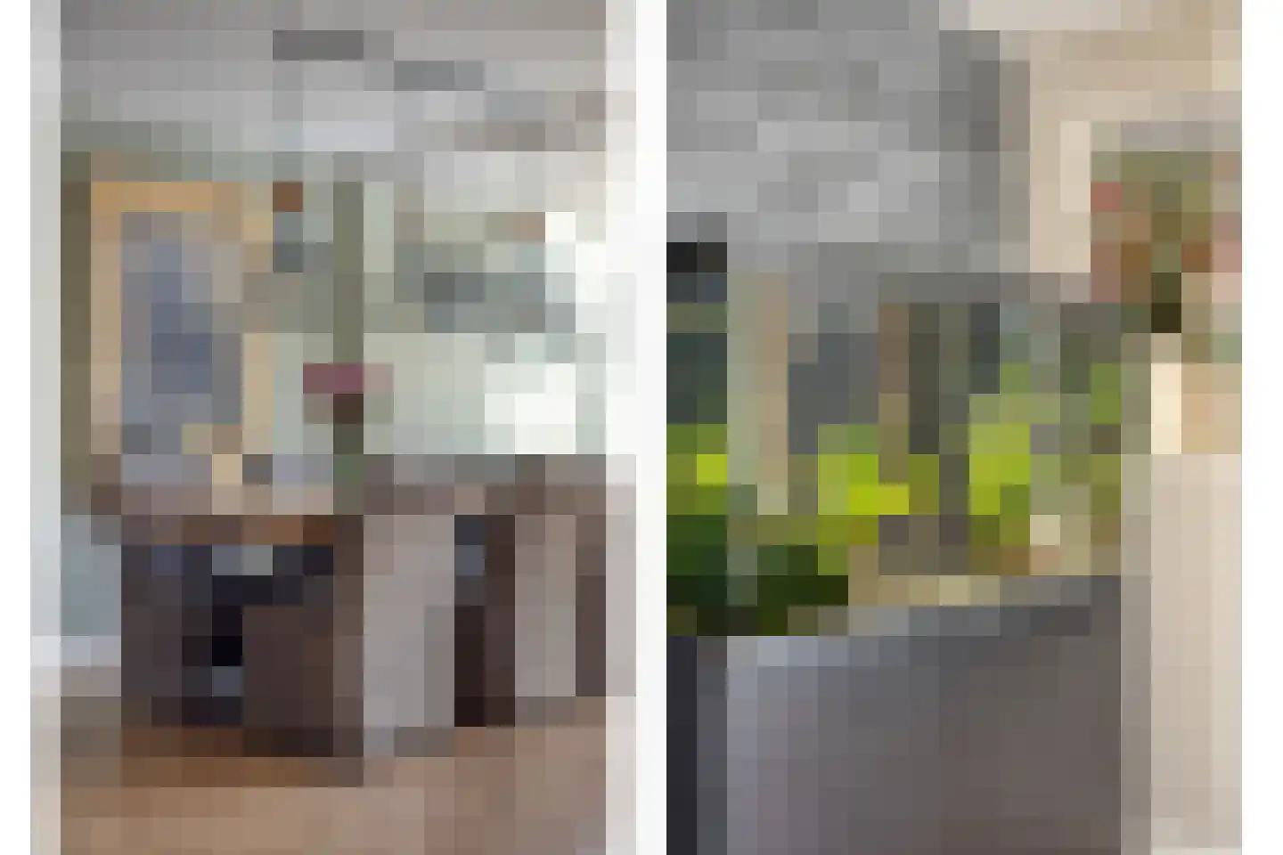 Landleeuw 21 Hoofddorp thumbnail 14