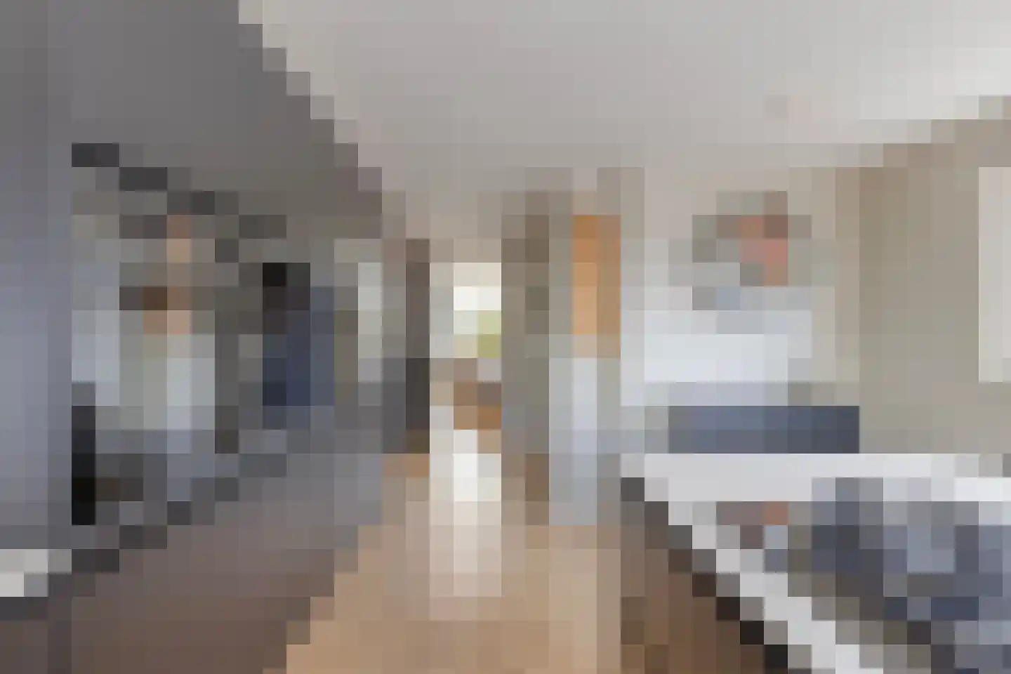 Landleeuw 21 Hoofddorp thumbnail 23