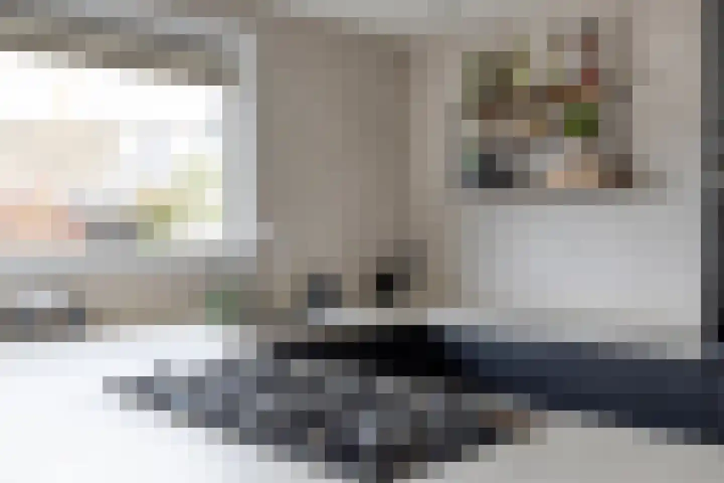 Landleeuw 21 Hoofddorp thumbnail 26