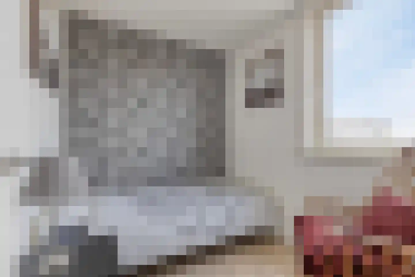 Landleeuw 21 Hoofddorp thumbnail 31