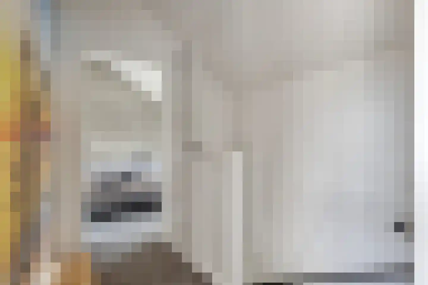 Landleeuw 21 Hoofddorp thumbnail 38