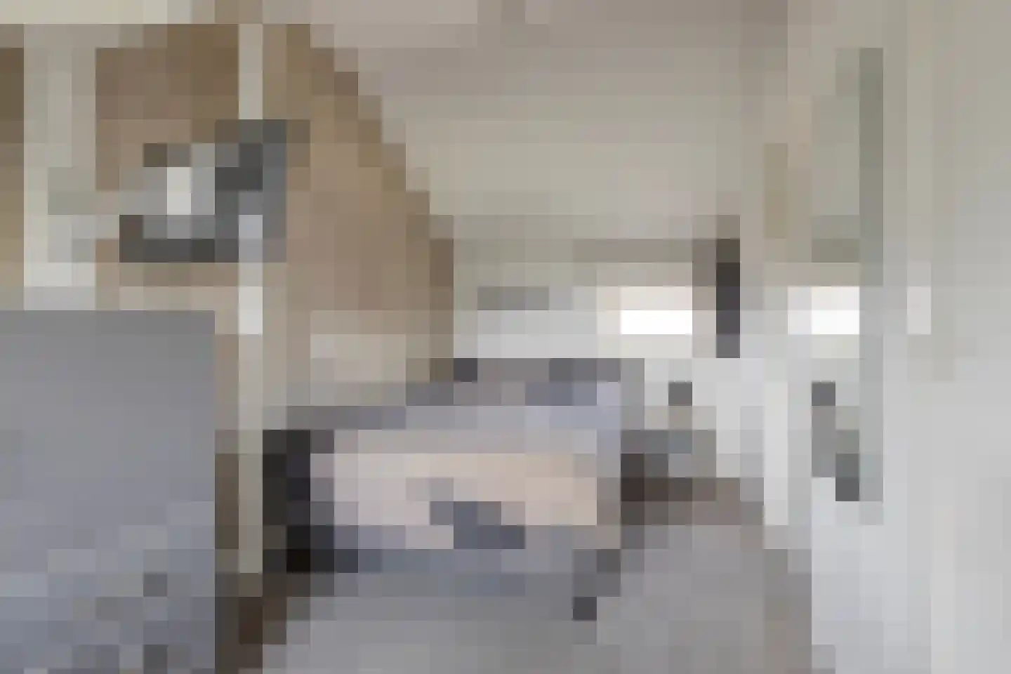 Landleeuw 21 Hoofddorp thumbnail 40