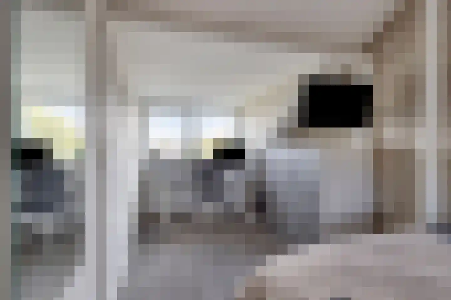 Landleeuw 21 Hoofddorp thumbnail 41