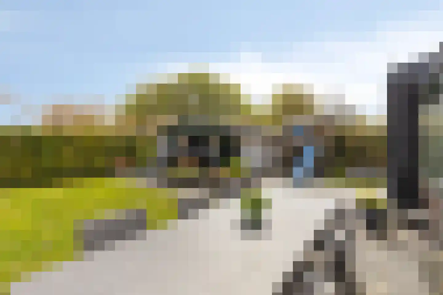 Landleeuw 21 Hoofddorp thumbnail 50