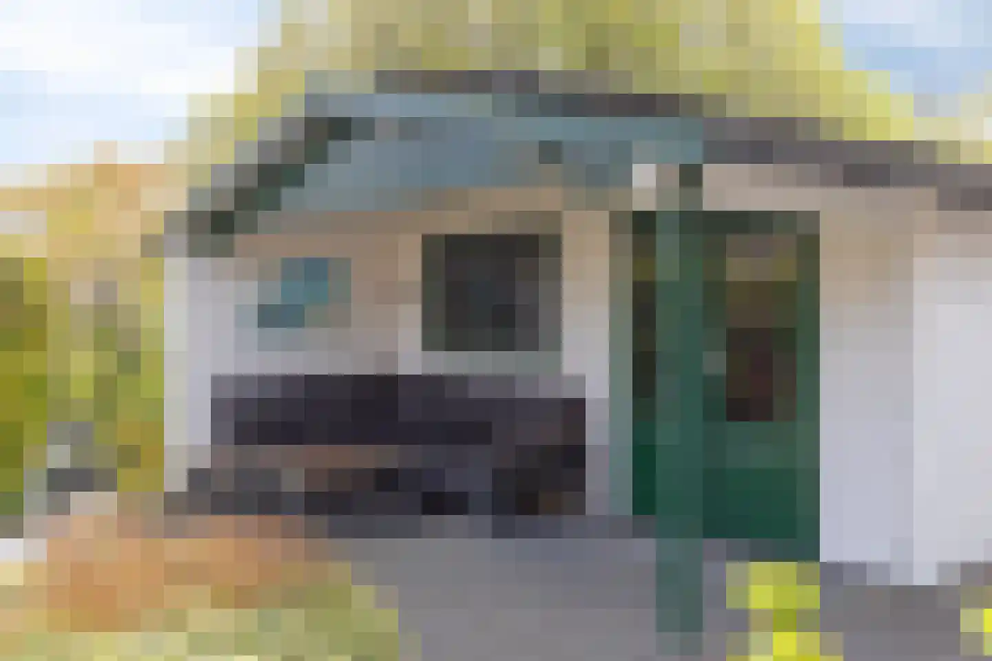 Landleeuw 21 Hoofddorp thumbnail 51