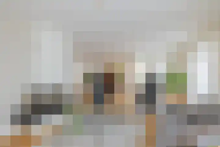 Landleeuw 43 Hoofddorp thumbnail 10