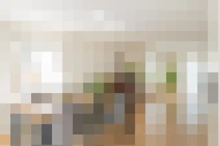 Landleeuw 43 Hoofddorp thumbnail 17