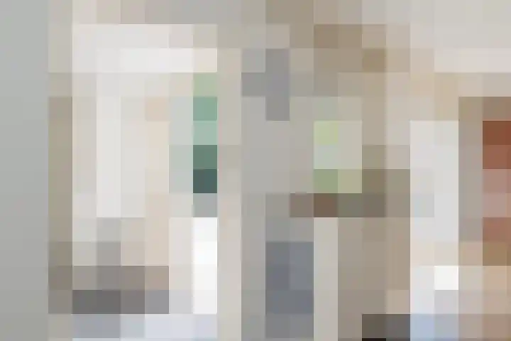 Landleeuw 43 Hoofddorp thumbnail 19