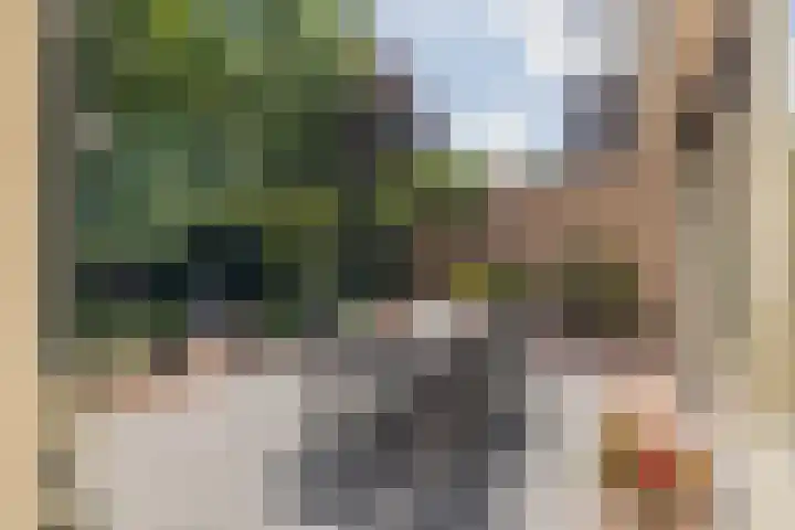 Landleeuw 43 Hoofddorp thumbnail 22