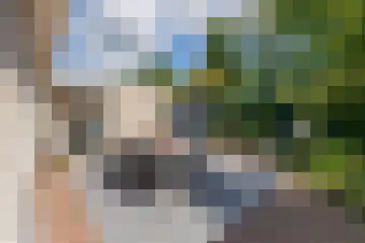Landleeuw 43 Hoofddorp thumbnail 24