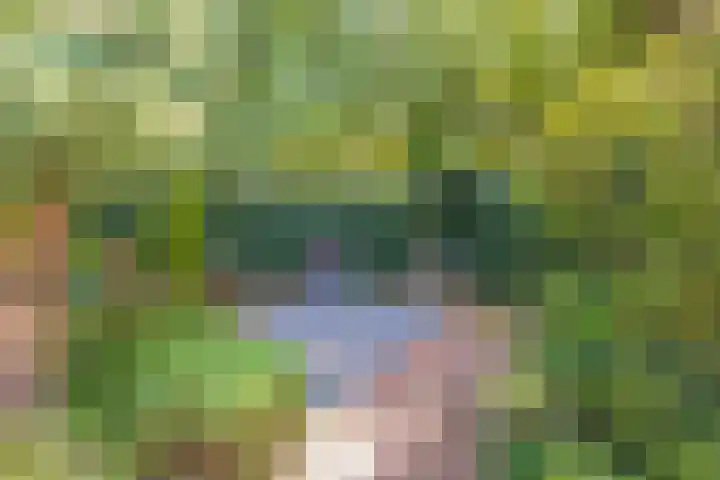 Landleeuw 43 Hoofddorp thumbnail 25