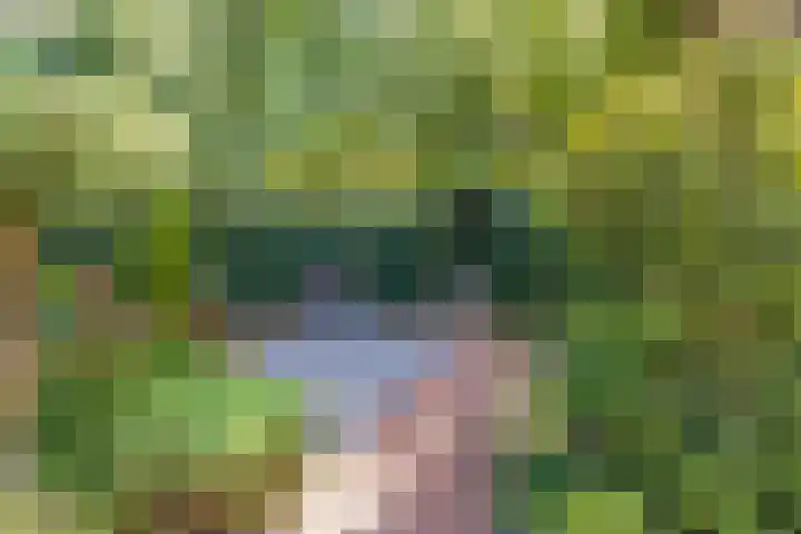 Landleeuw 43 Hoofddorp thumbnail 26