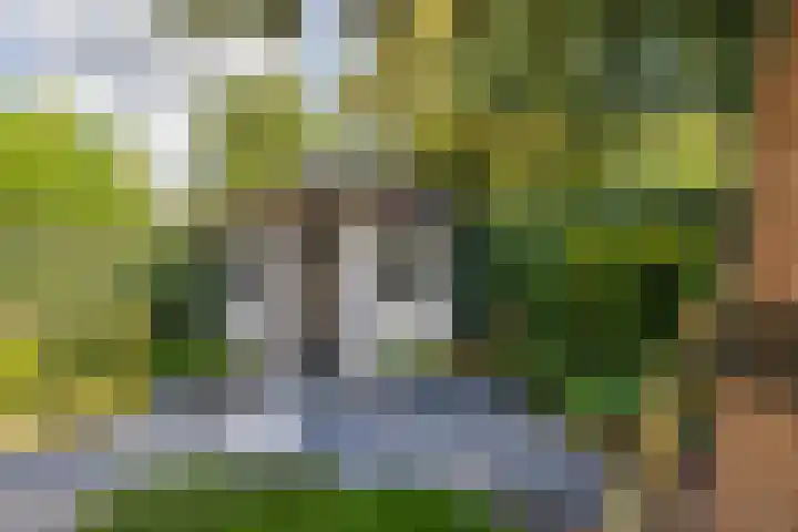 Landleeuw 43 Hoofddorp thumbnail 27