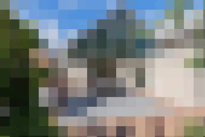 Landleeuw 43 Hoofddorp thumbnail 29