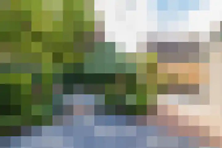 Landleeuw 43 Hoofddorp thumbnail 30