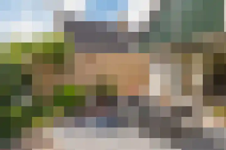 Landleeuw 43 Hoofddorp thumbnail 31