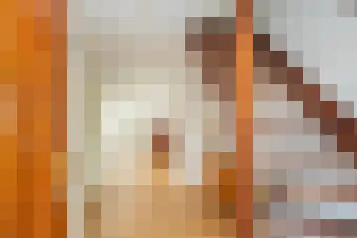 Landleeuw 43 Hoofddorp thumbnail 4