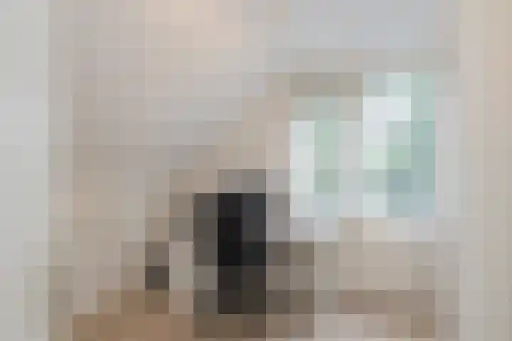 Landleeuw 43 Hoofddorp thumbnail 44