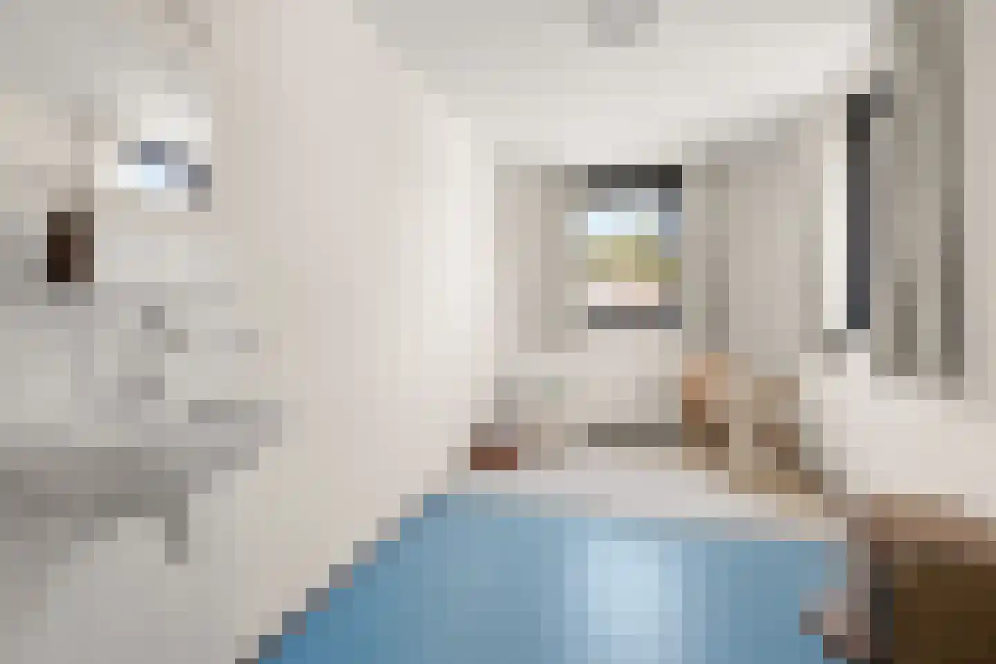 Landleeuw 55 Hoofddorp thumbnail 25