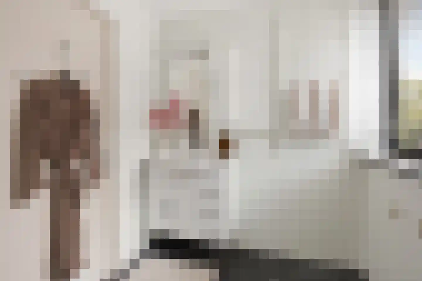 Landleeuw 55 Hoofddorp thumbnail 33