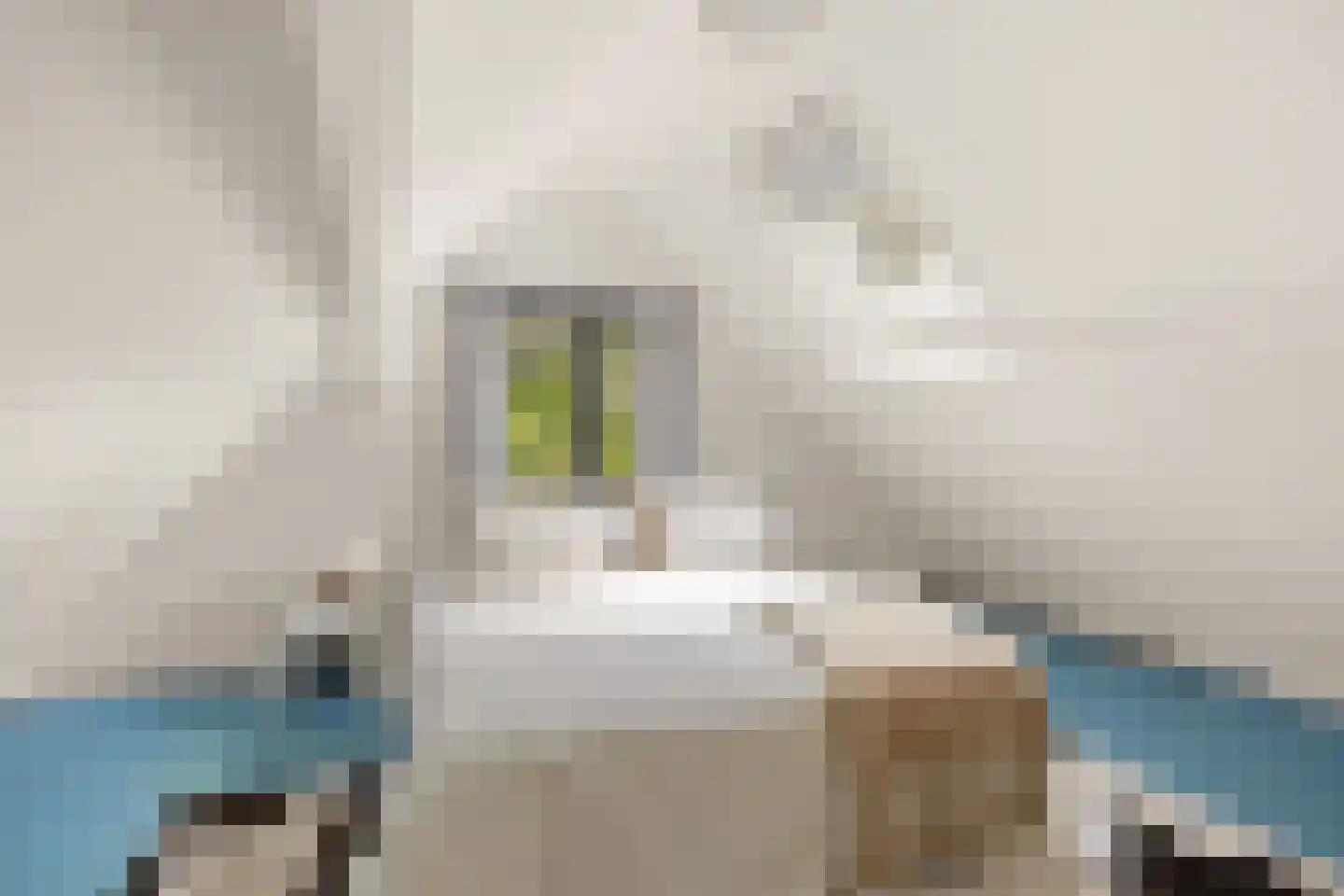 Landleeuw 55 Hoofddorp thumbnail 36
