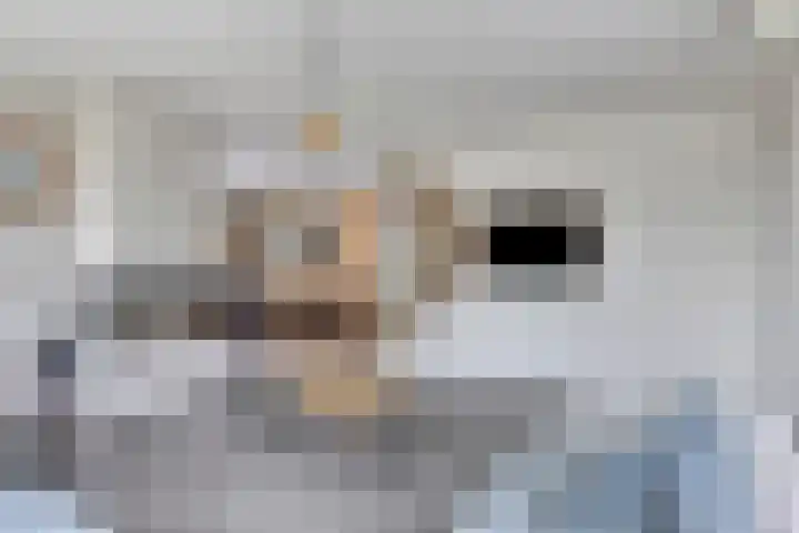 Landleven 12 Eindhoven thumbnail 15