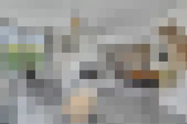 Landleven 12 Eindhoven thumbnail 17